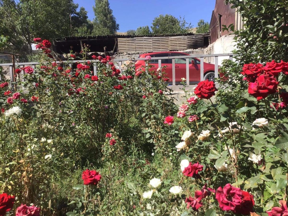 Ave Zara Bed and Breakfast Vagudy Exteriör bild